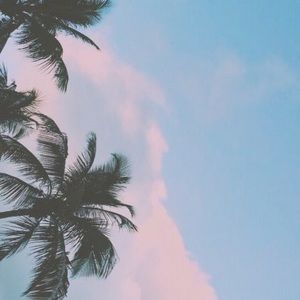 Meet your Posher, Lara